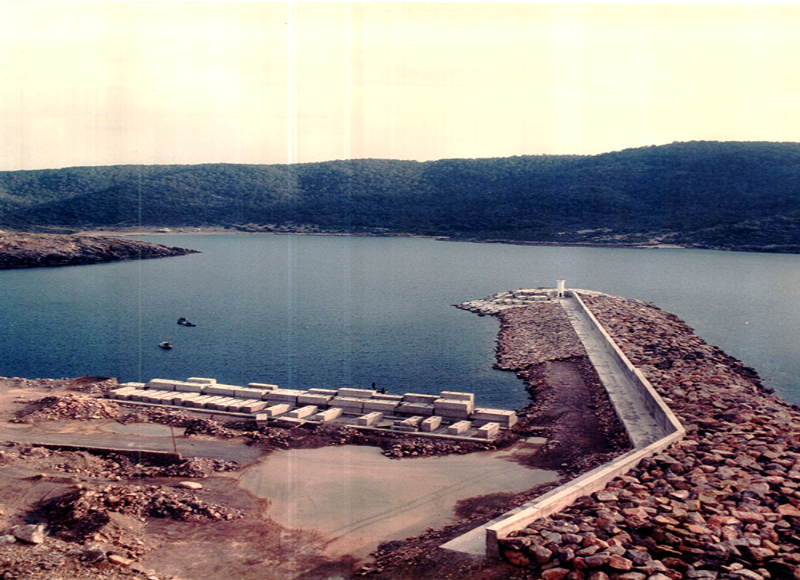 Akkuyu Nükleer Elektrik Santrali